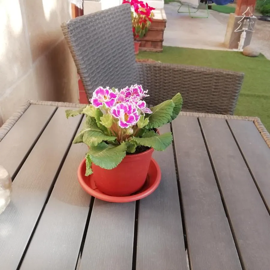 El Matorral Bed & Breakfast Alghero