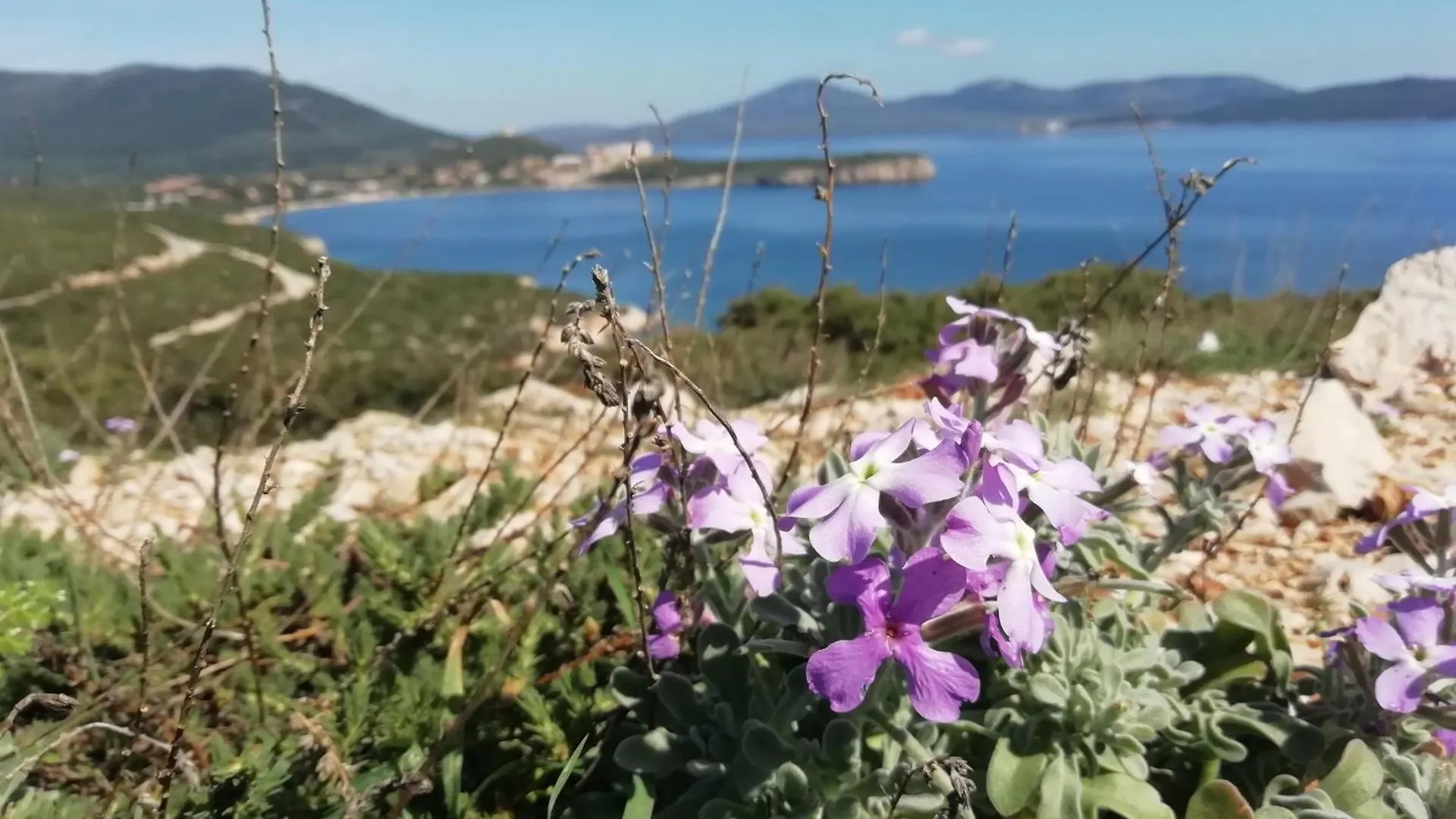 El Matorral Bed & Breakfast Alghero 0*,  Italy