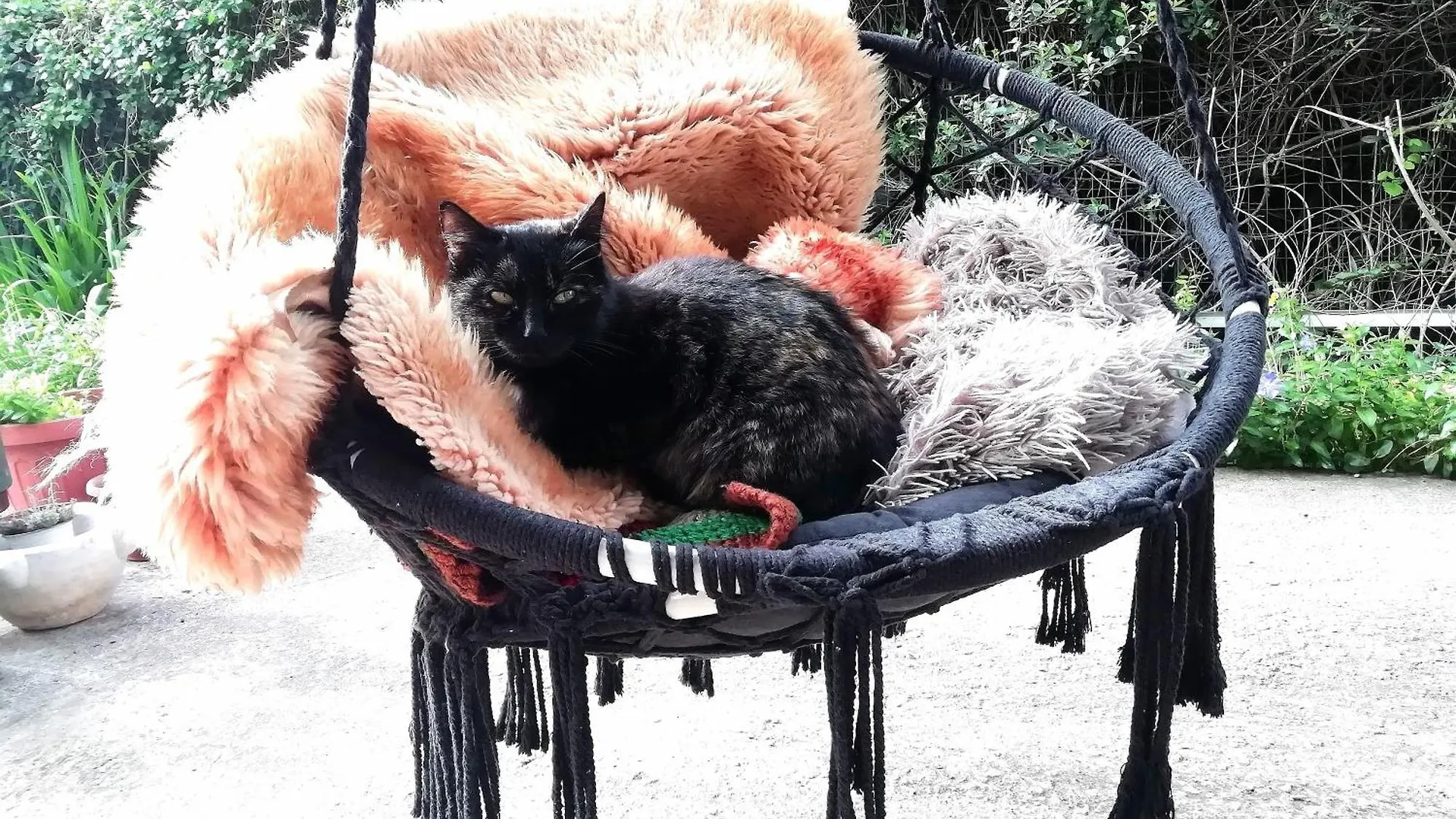 Bed and Breakfast El Matorral Альгеро Отель типа 